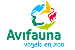 Avifauna