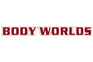 Body Worlds